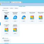 Synology DS916 Package Center Backu