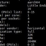 AWS EC2 A1.4xlarge Lscpu