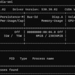 NVIDIA L4 Nvidia Smi Output Example