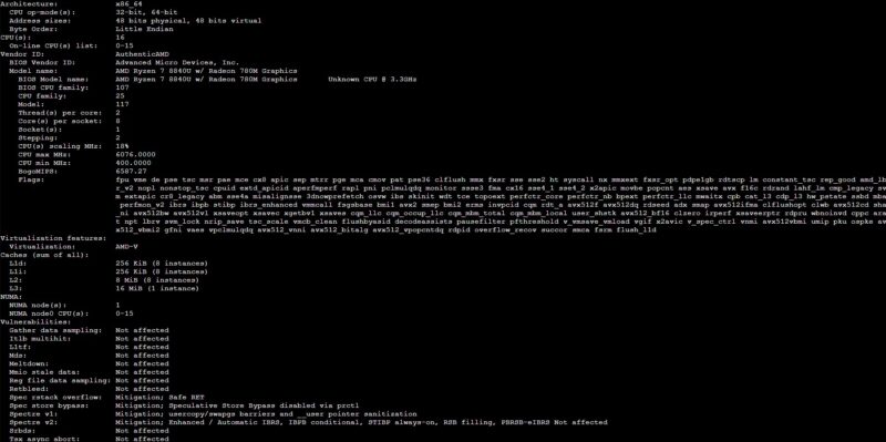 AMD Ryzen 7 8840U Lscpu Output