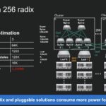 Marvell Teralynx 10 256 Radix Cluster