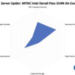 STH Server Spider MiTAC Intel DNP Air Cooled