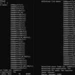 Supermicro ConnectX 6 Dx OCP NIC 3.0 Ethtool