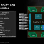 AMD EPYC 9005 Turin Memory