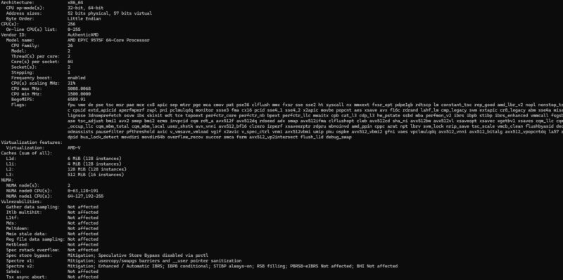 AMD EPYC 9575F Lscpu Output Smt On